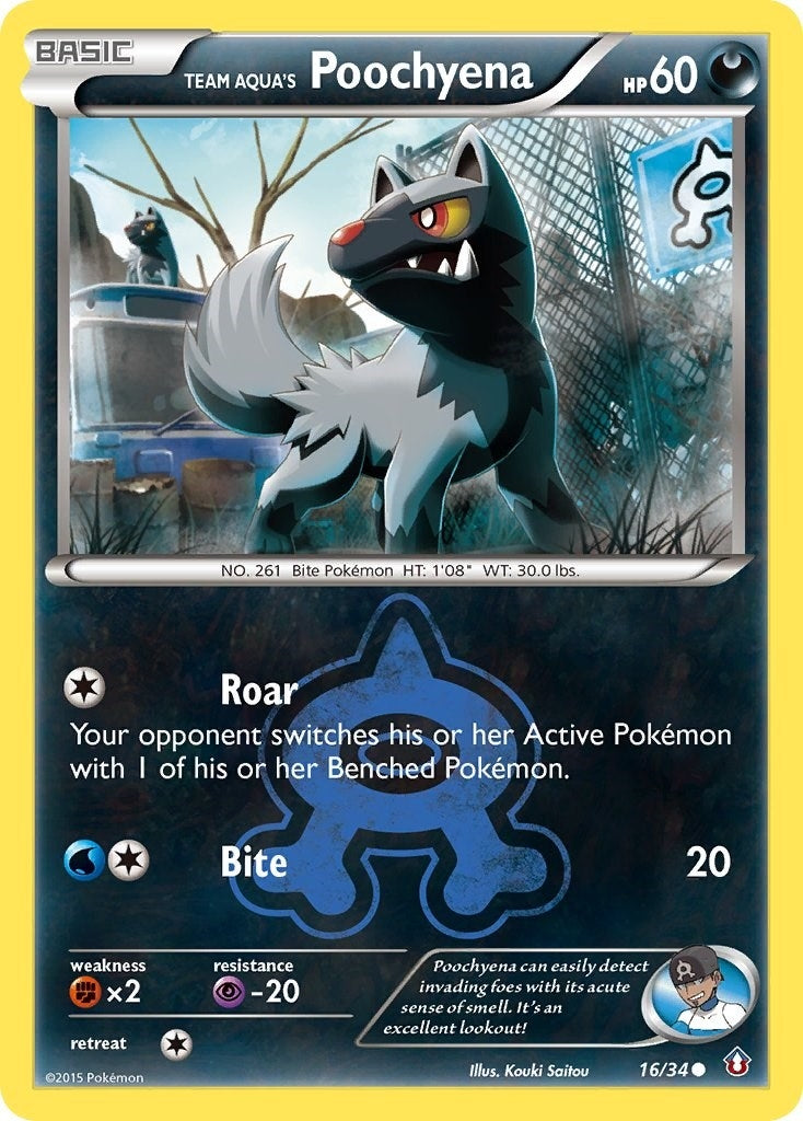 Team Aqua's Poochyena (16/34) (DCR)