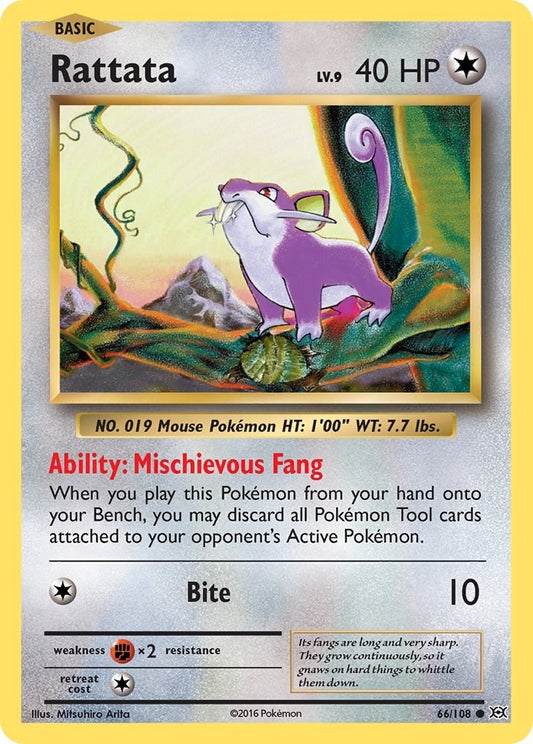 Rattata (66/108) (EVO)