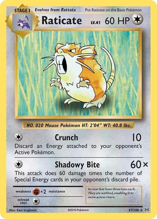 Raticate (67/108) (EVO)