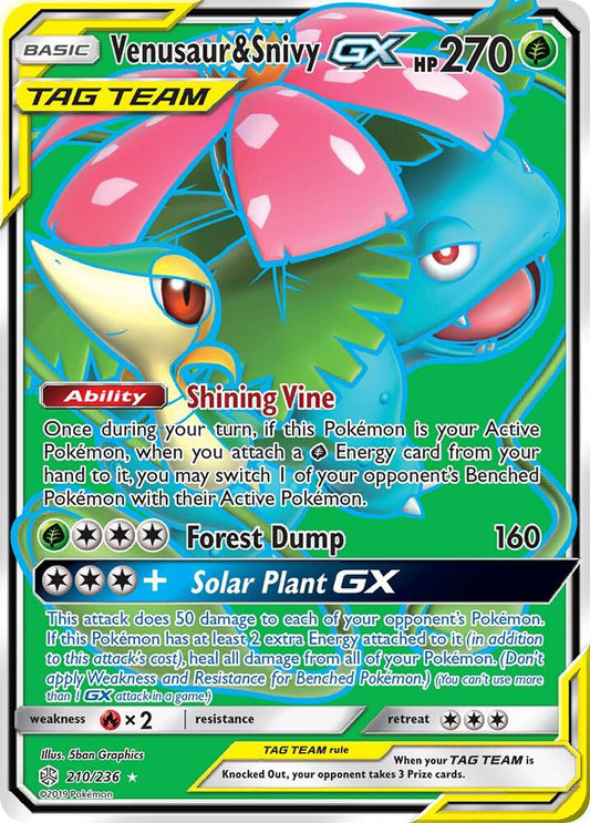 Venusaur & Snivy GX 210/236 - NM