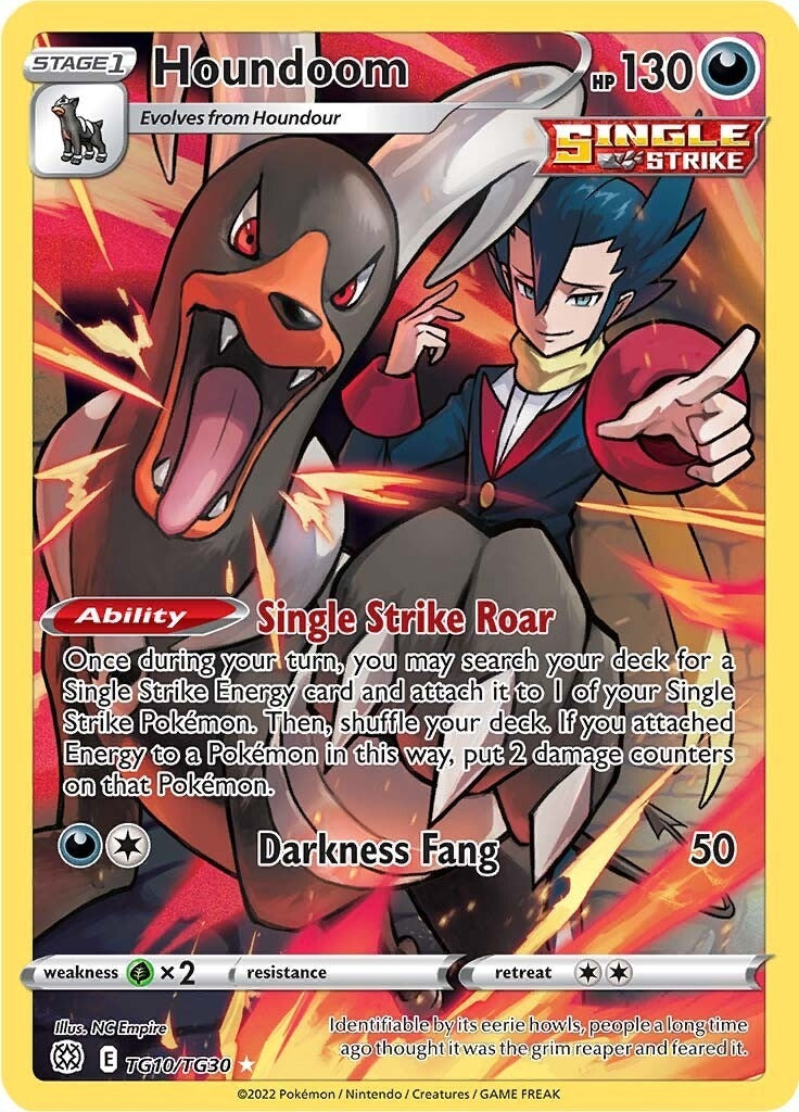 Houndoom (TG10/TG30) (SWSH09:TG)