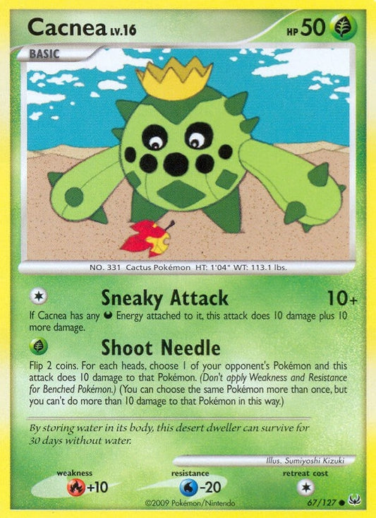 Cacnea (67/127) (PL)