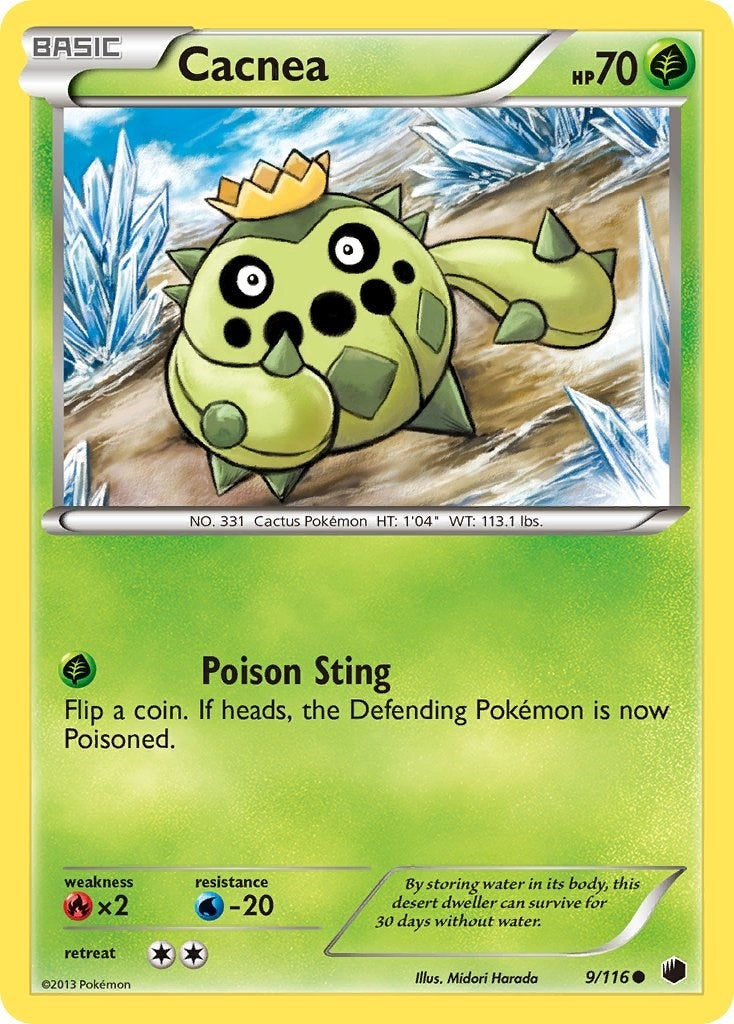 Cacnea (9/116) (PLF)