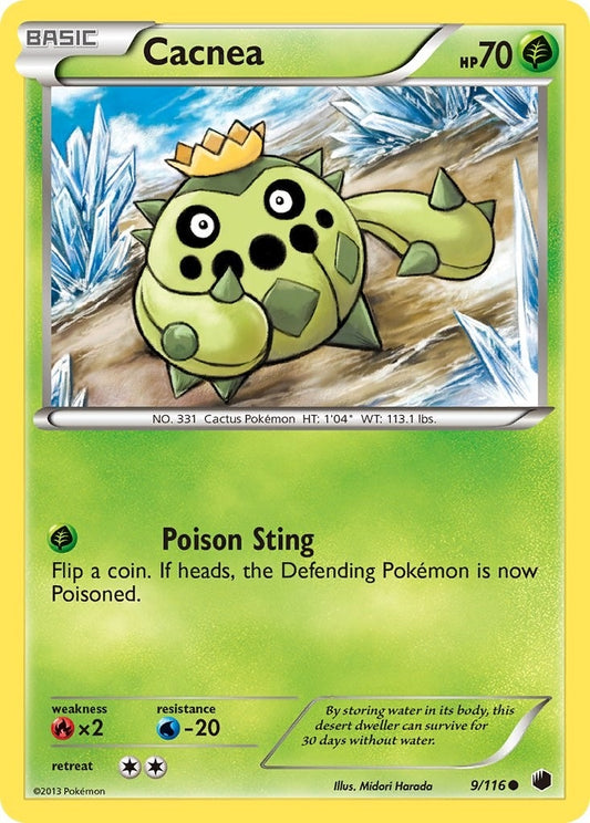 Cacnea (9/116) (PLF)