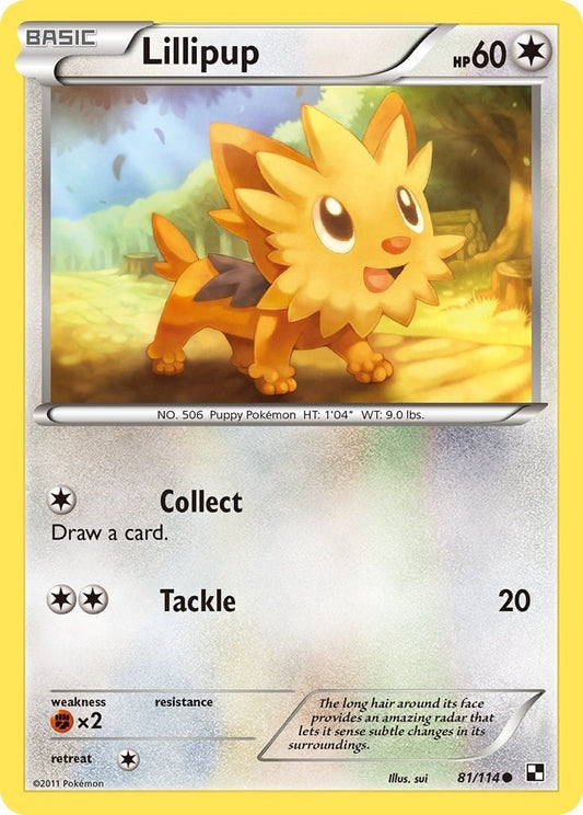 Lillipup (81) (81/114) (BLW)