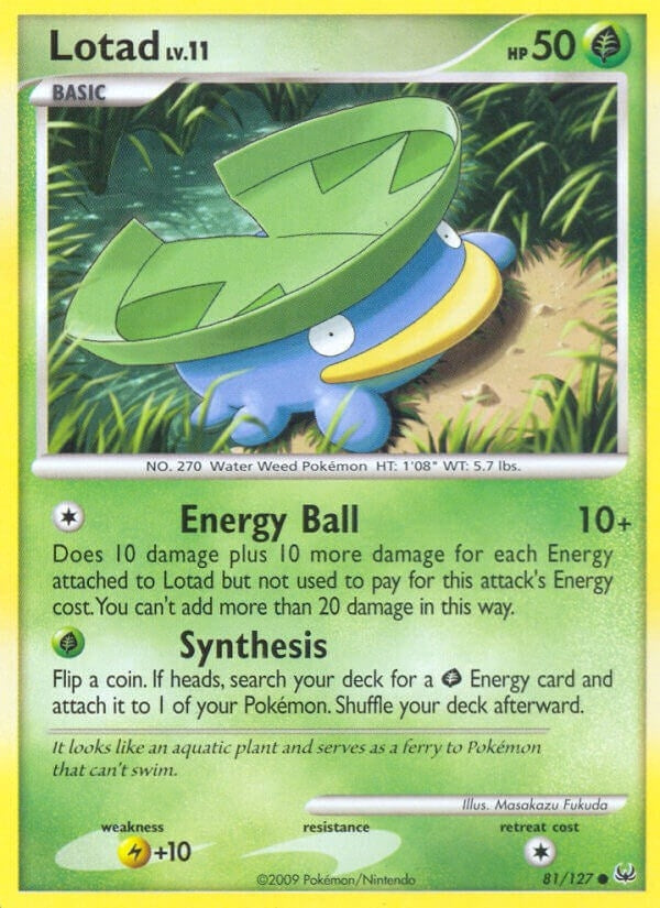 Lotad (81/127) (PL)