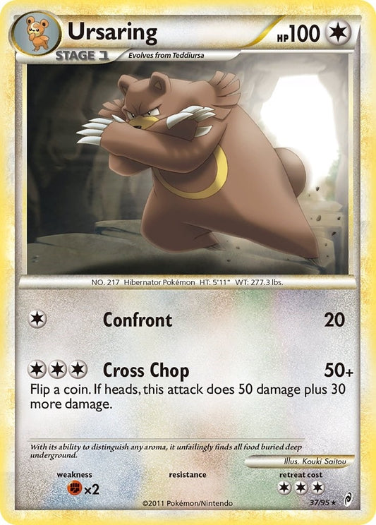 Ursaring (37/95) (CL)