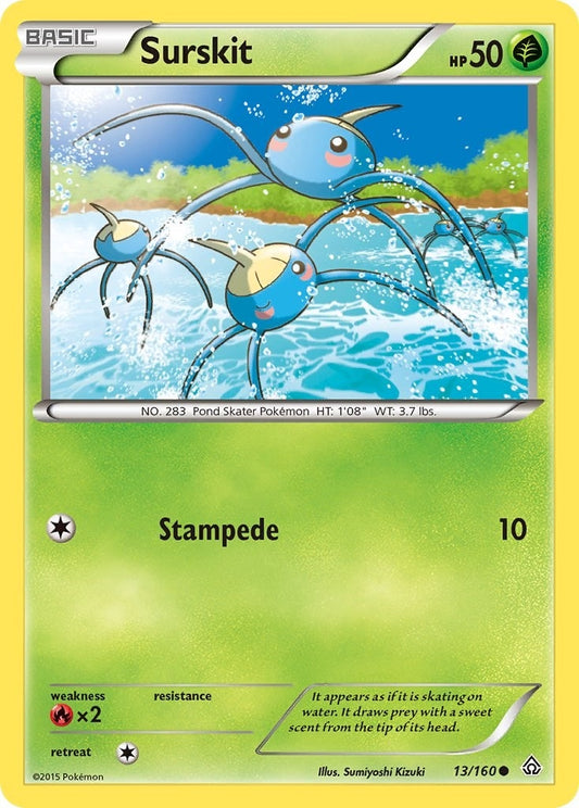 Surskit (13/160) (PRC)