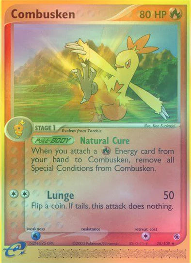 Combusken (Reverse) 28/109 - HP