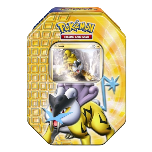 Raikou Tin HeartGold & SoulSilver