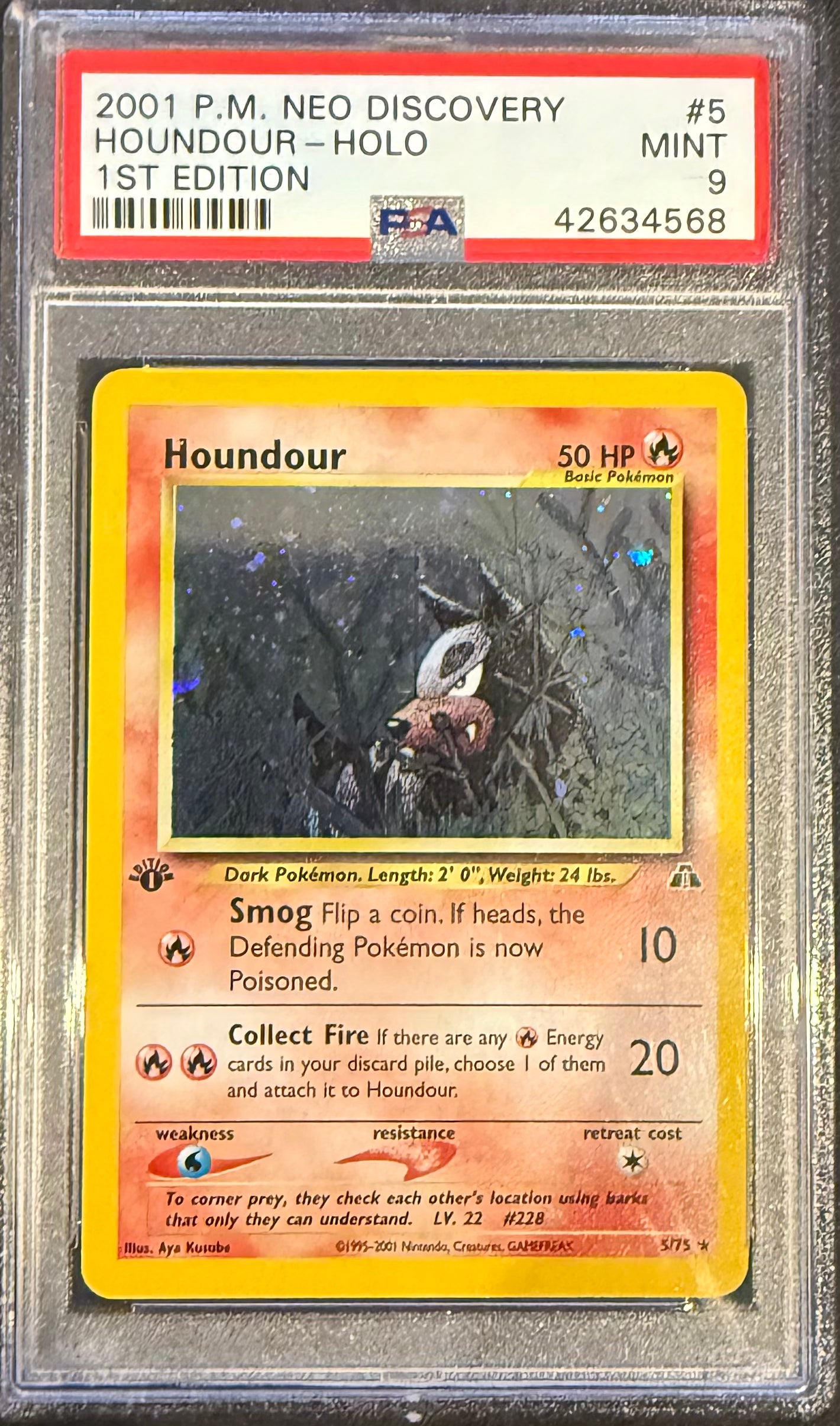 HOUNDOUR-HOLO 1ST EDITION 2001 POKEMON NEO DISCOVERY PSA MINT 9