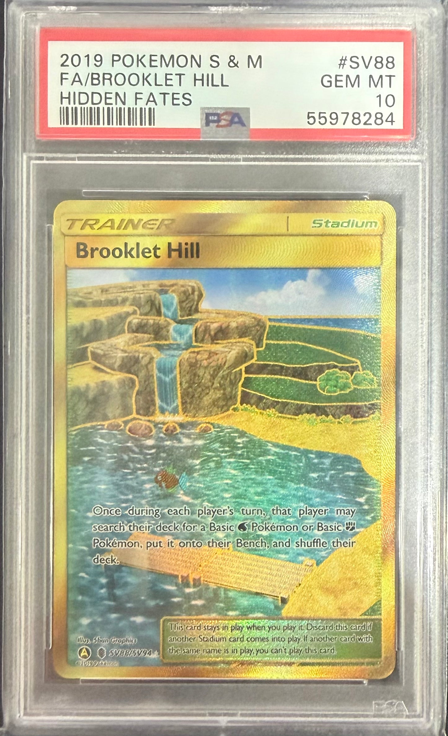 FA/BROOKLET HILL HIDDEN FATES 2019 POKEMON SUN & MOON HIDDEN FATES PSA GEM MT 10