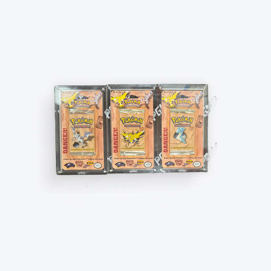 Fossil Art Set Blister