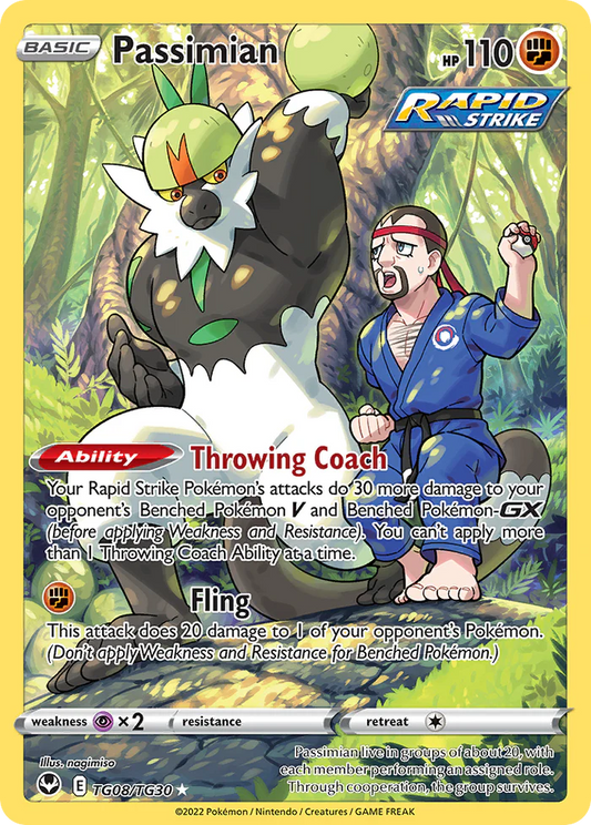 Passimian TG08/TG30 - NM