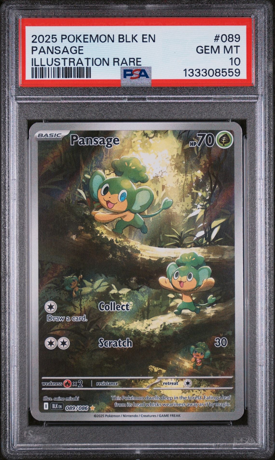 PANSAGE ILLUSTRATION RARE 2025 POKEMON BLK EN-BLACK BOLT PSA GEM MT 10