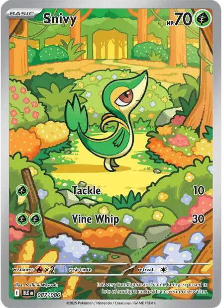Snivy 087/086 - NM