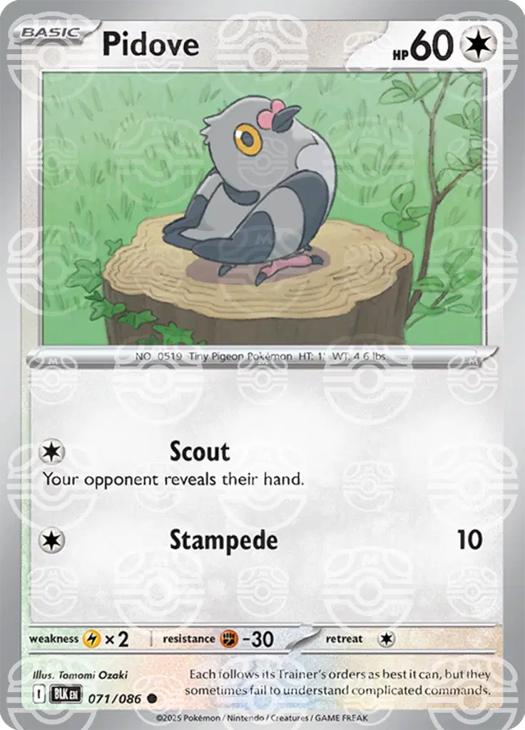 Pidove (Master Ball) 071/086 - NM
