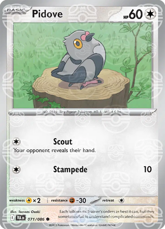 Pidove (Master Ball) 071/086 - NM