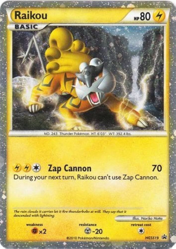Raikou HGSS19 - MP